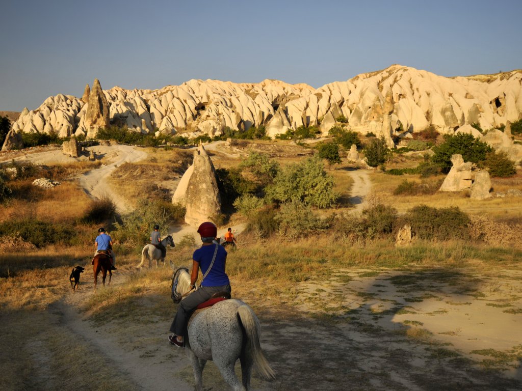 Horseback Riding Tour (2 Hours)