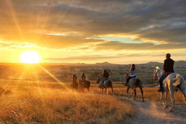 Horseback Riding Tour (2 Hours)
