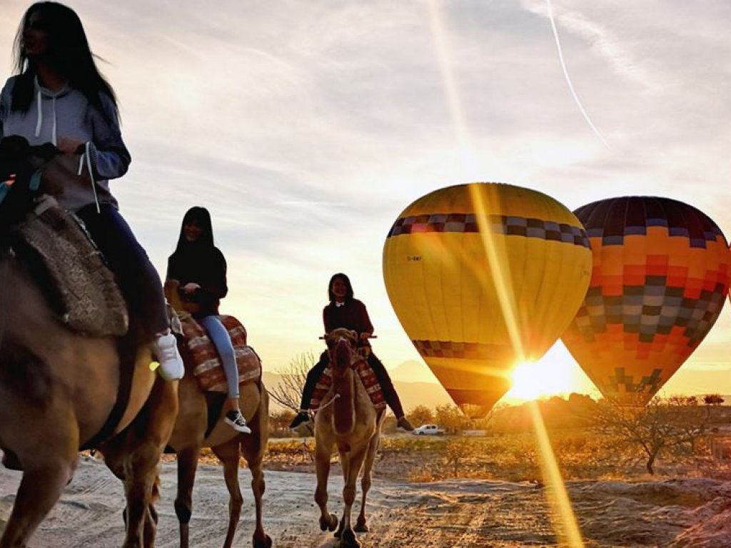 Horseback Riding Tour (1 Hour)